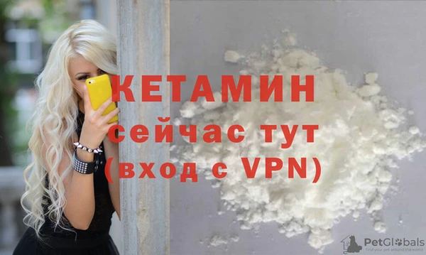 стаф Новокубанск