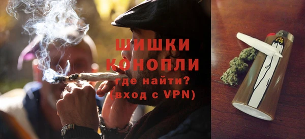стаф Новокубанск