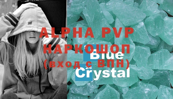 стаф Новокубанск