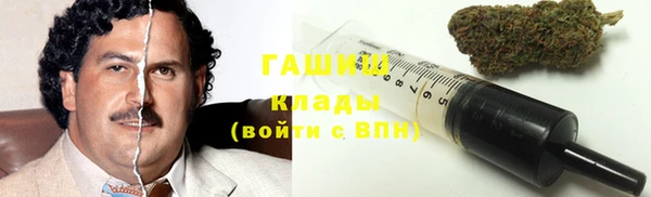 стаф Новокубанск