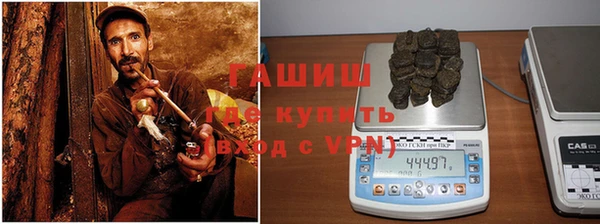 стаф Новокубанск