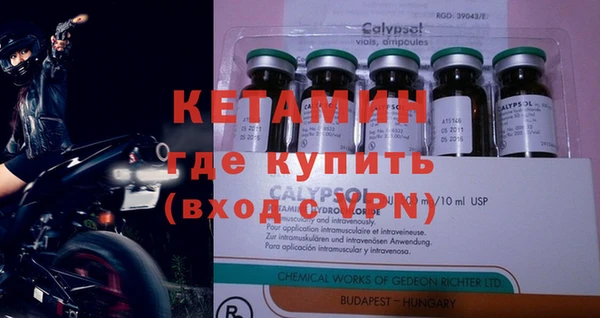 стаф Новокубанск