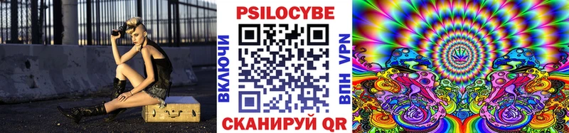 Псилоцибиновые грибы ЛСД  darknet наркотические препараты  Златоуст  блэк спрут зеркало 
